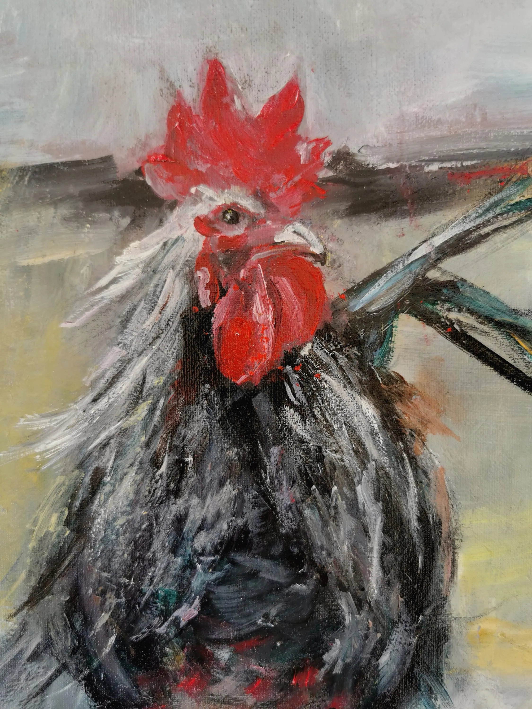 Le lanceolate bianco argento del gallo e i tratti verde acqua scuro della coda su un campo grigio nebbioso